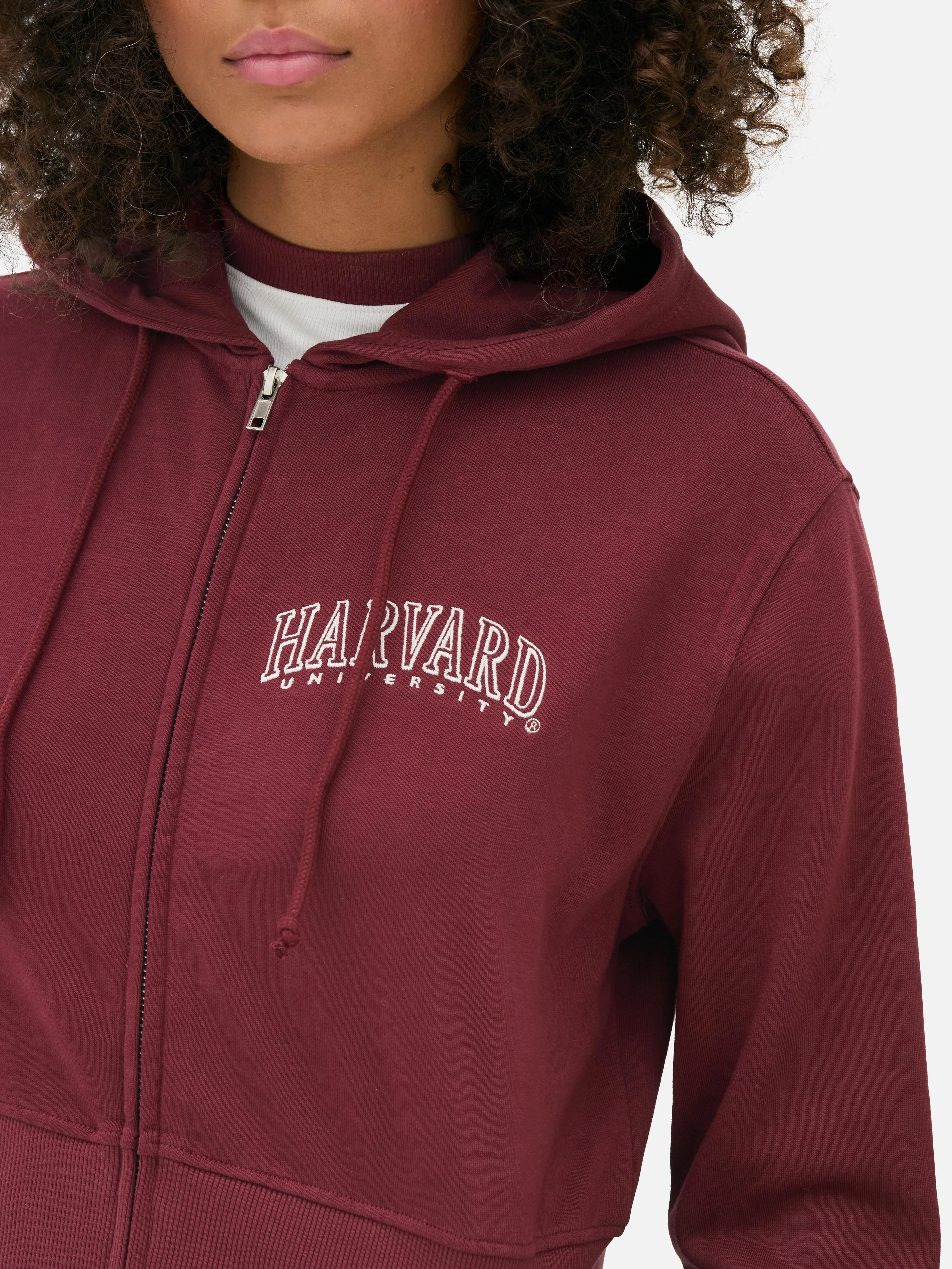 Felpa con cappuccio e zip coordinata Harvard