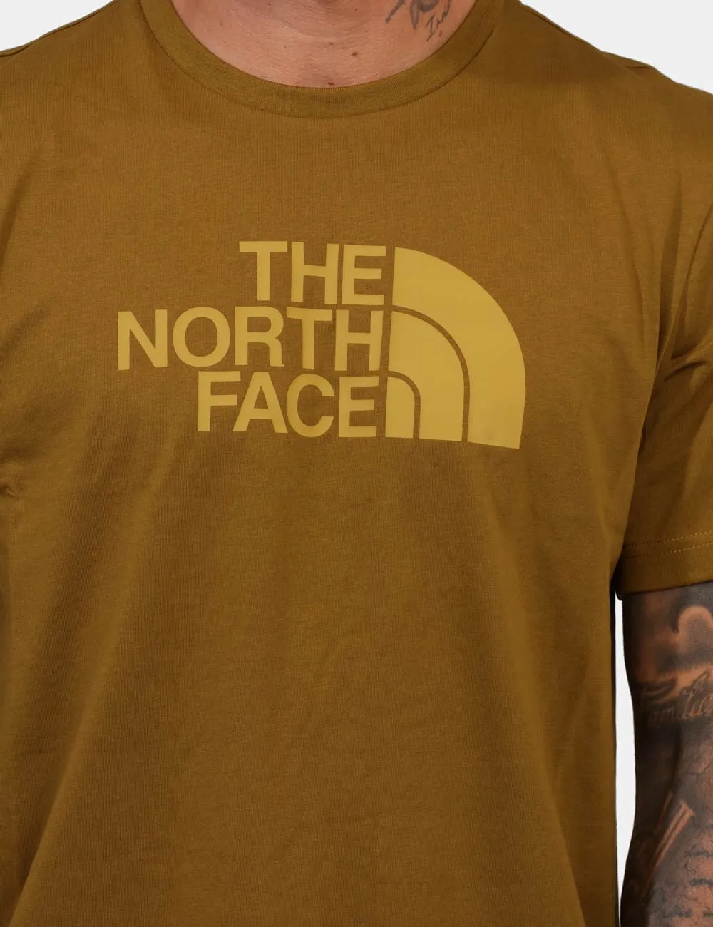 T-shirt The North Face Marrone